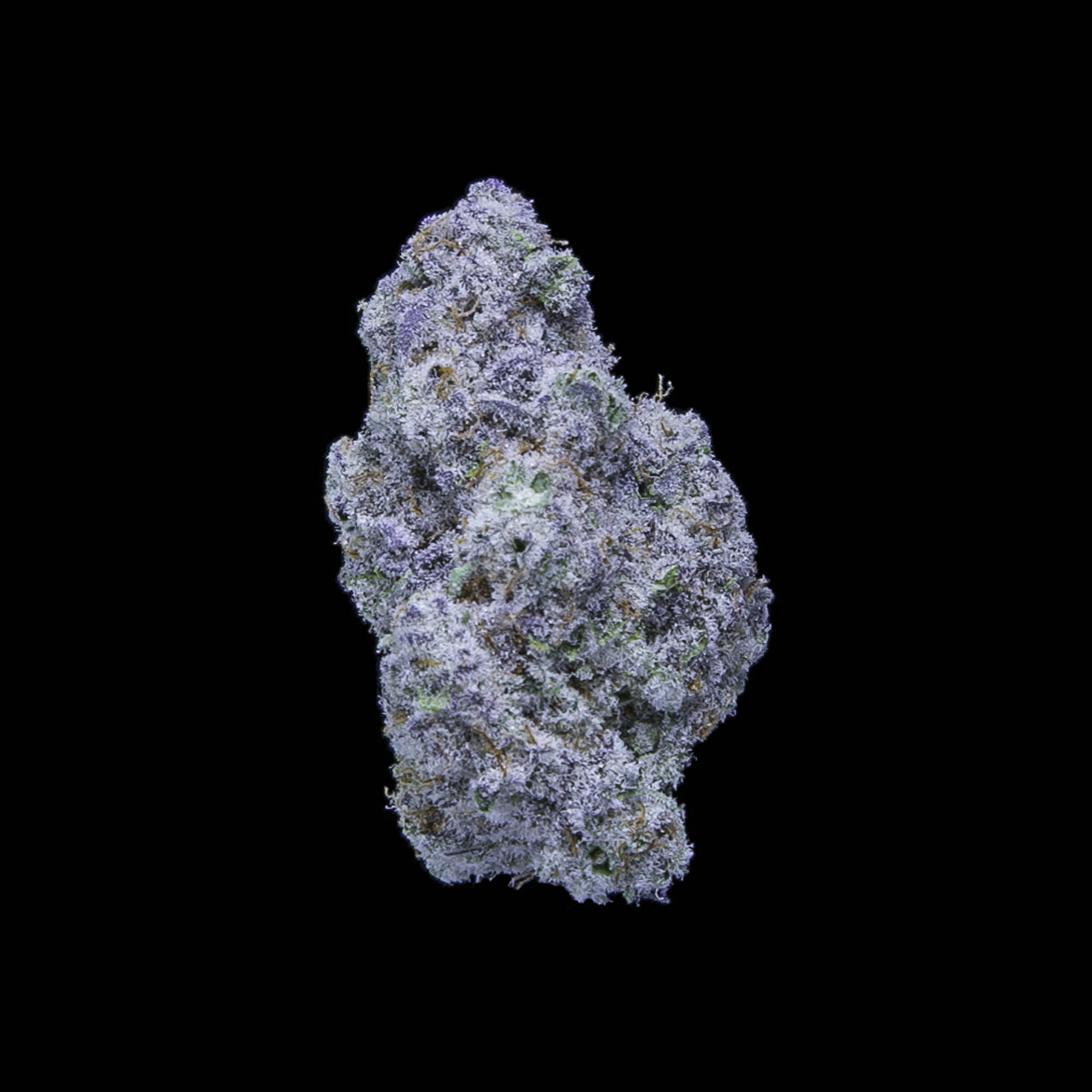 Mac1_Final