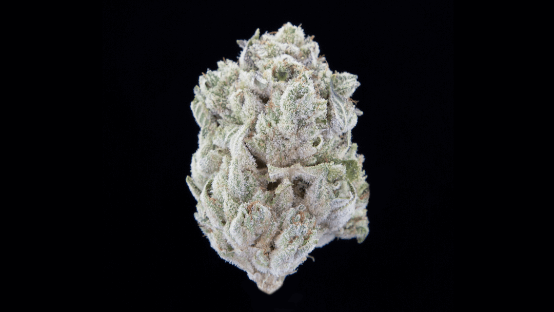 Product_Line_Flower